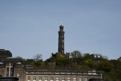 DSC_7357 (Large).JPG